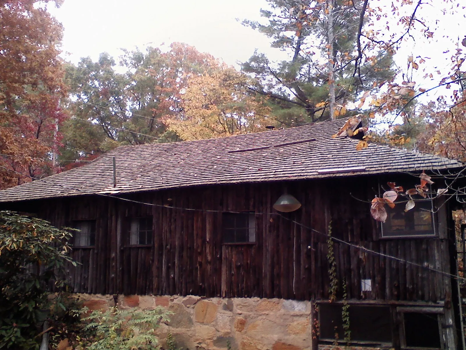 Weathered wood shake roof on a rustic board sided cabin in Berne